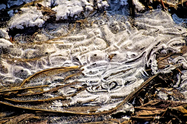 Ice on a creek — Stock Photo, Image