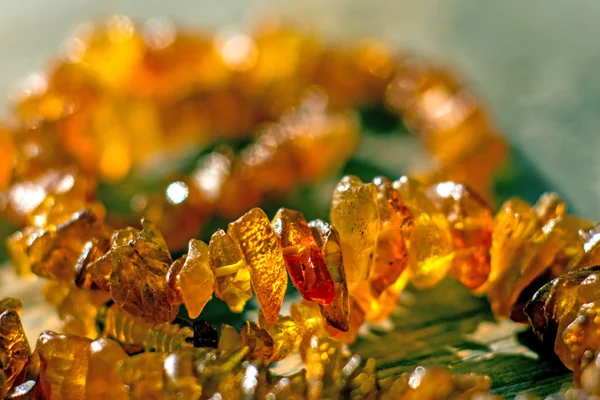 Amber bracelet in sun — Stock Photo, Image