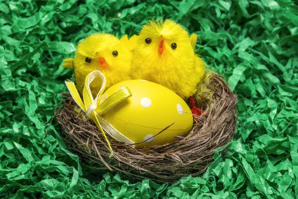 Великодній кошик з розфарбованим яйцем і заявниками — стокове фото