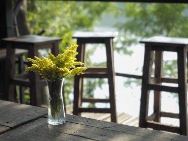 Issız bir kafede yalnız çiçekler.