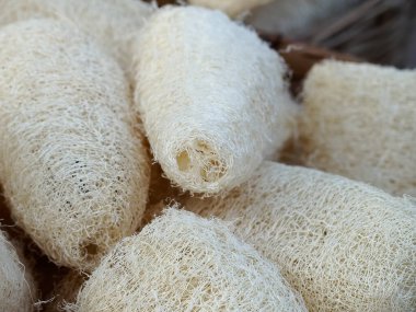 Doğal lifli sünger. Çevre dostu lif süngerleri