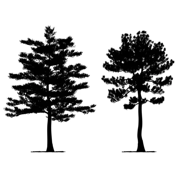 Dibujo vectorial del árbol - vector detallado — Vector de stock