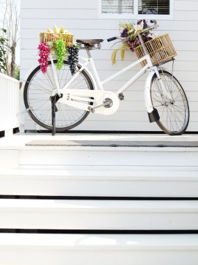 Beyaz Saray'da Beyaz Bisiklet.