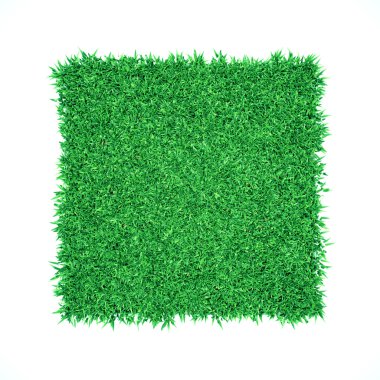 Yeşil Çimen Arkaplanı