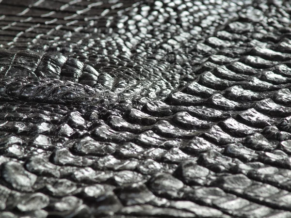 Перспективное изображение красивой текстуры кожи крокодиловой кости — стоковое фото