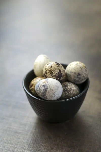 Kwarteleieren op tafel — Stockfoto