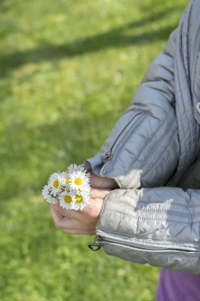 Madeliefjes in de hand klein jong geitje — Stockfoto