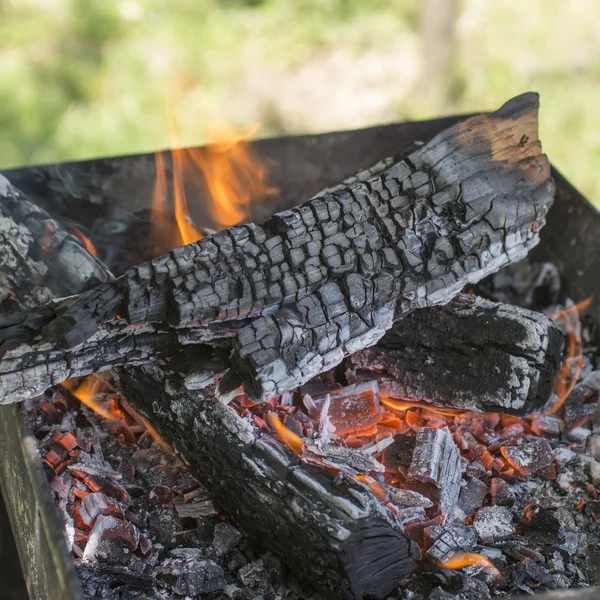 Primer plano de la leña ardiendo en el fuego — Foto de Stock