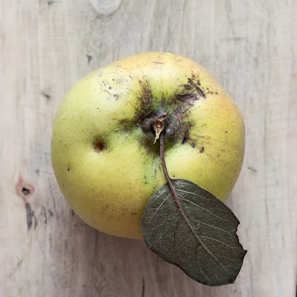 Ekologisk äpple kvitten — Stockfoto