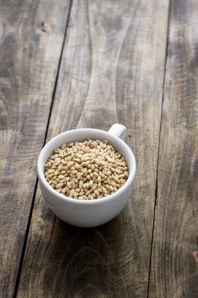 Цельнозерновая пшеница — стоковое фото