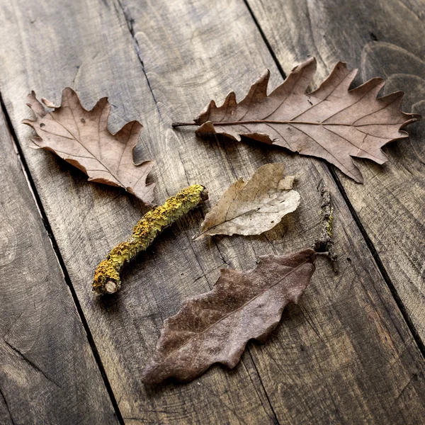 Autumn leaves on wooden  boards background — Stock Photo, Image