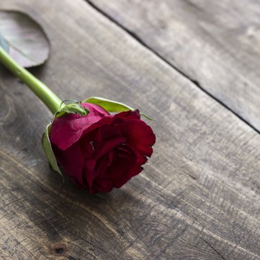 Gül ahşap bir masa üzerinde