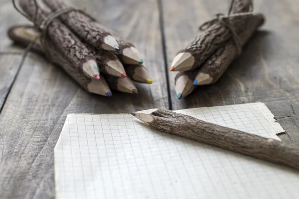 Grupp av bark doldt filial mångfärgade pennor — Stockfoto