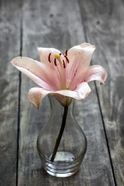 Masanın üzerine çiçek