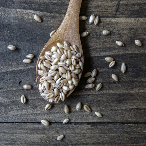Пшеничное зерно сверху — стоковое фото