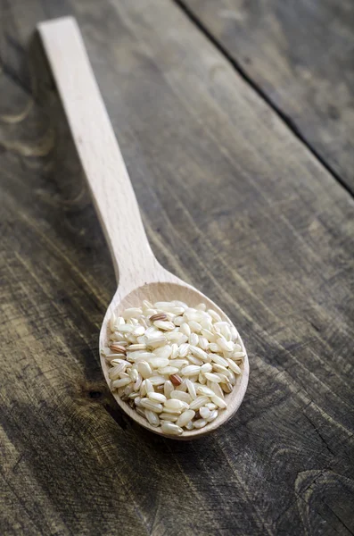 Riz brun dans une cuillère en bois — Photo