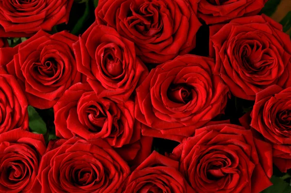 Бесшовные красные розы фон Стоковое Фото