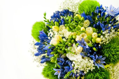 renkli çiçek kova arka plan