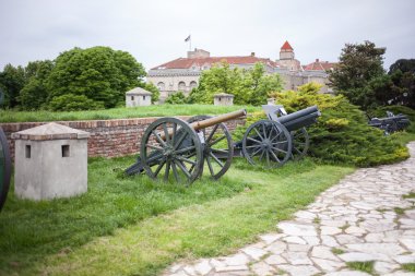 Eski İkinci Dünya Savaşı savaş topu