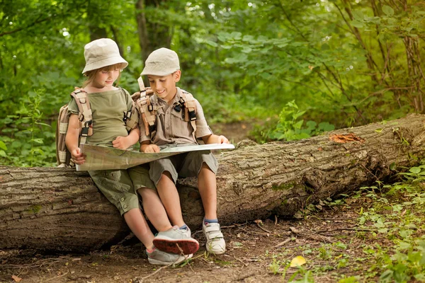 Sommarläger, scout barn camping och läsa karta i skogen — Stockfoto