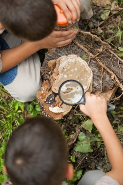 Bir kamp üzerinde genç erkek doğa Büyüteç gla kullanarak araştırılması