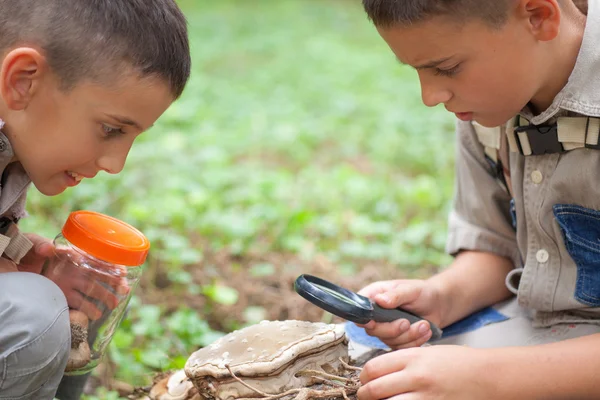 Meninos em um acampamento investigou a natureza usando gla de aumento — Fotografia de Stock