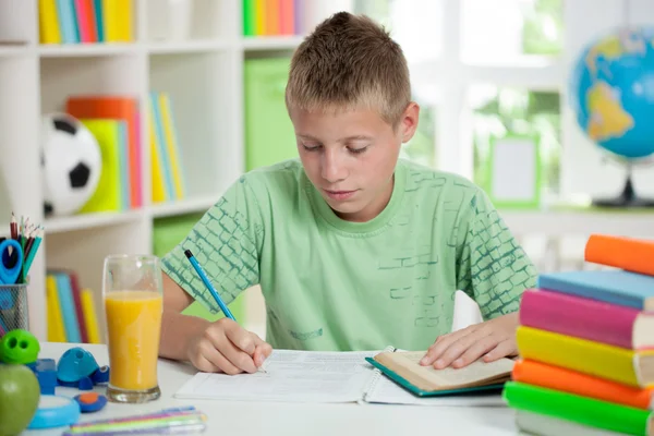 Söt skolpojke läsa och studera — Stockfoto