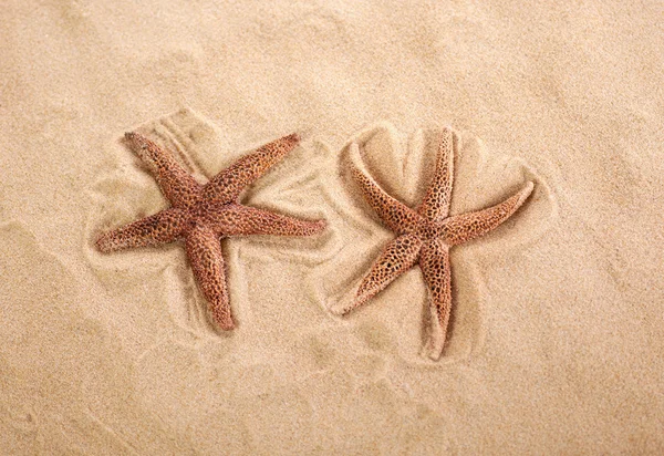 Dos hermosas estrellas de mar sobre arena brillante — Foto de Stock