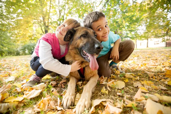 孩子们在公园与德国牧羊犬 — 图库照片