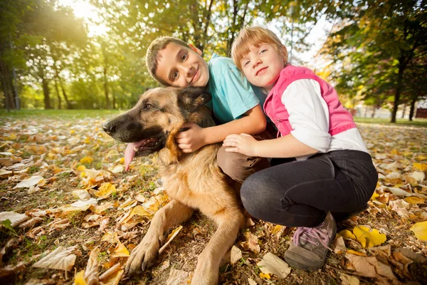 Niños en el parque con un pastor alemán —  Fotos de Stock