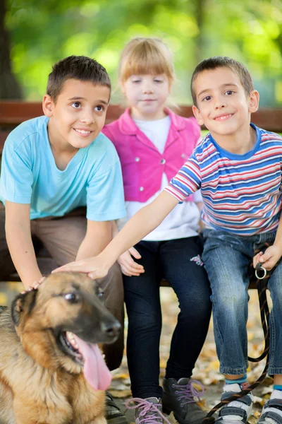 Kleine Mädchen und Jungen im Park mit einem Schäferhund — Stockfoto