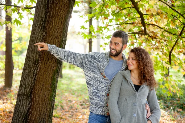 Feliz pareja enamorada en otoño parque —  Fotos de Stock