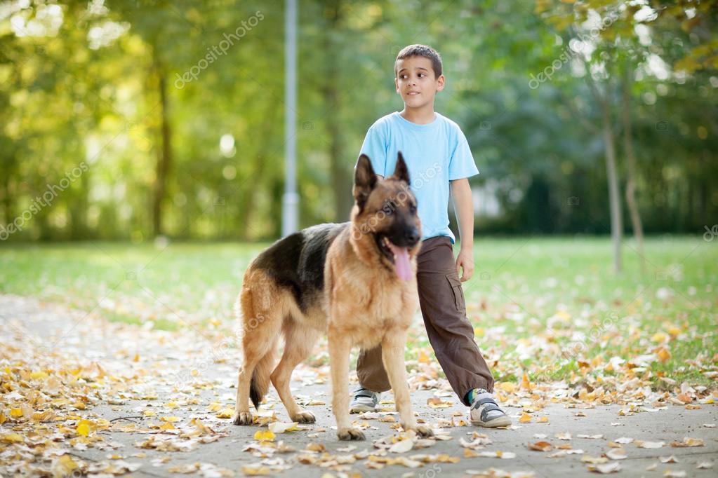 Happy child with a German Shepherd Dog in the park — Stock Photo