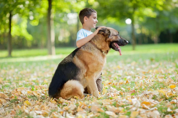 Ευτυχισμένο παιδί με έναs Γερμανόs Shepherd σκύλοs στο πάρκο — Φωτογραφία Αρχείου