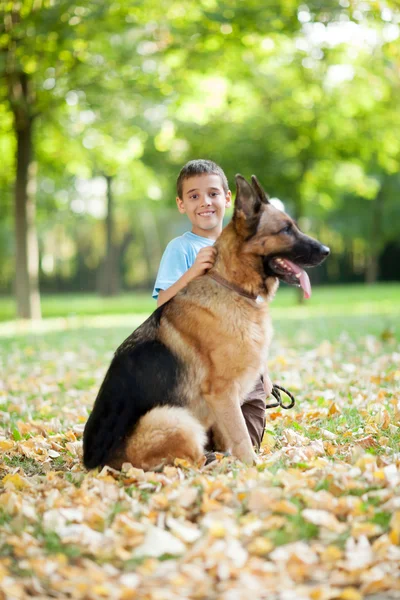 Niño sonriente con un perro pastor alemán en el parque —  Fotos de Stock