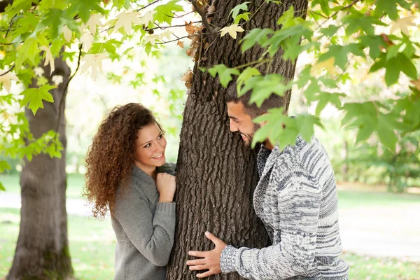 Couple dans les bois automnaux, regardant par derrière un arbre — Photo