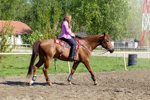 Young smiling girl riding her brown horse in a training field — Stock Photo, Image