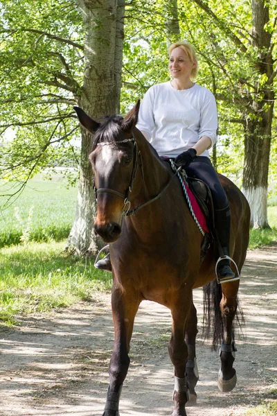 Woman horse riders in the forest on sunny day — Stock Photo, Image