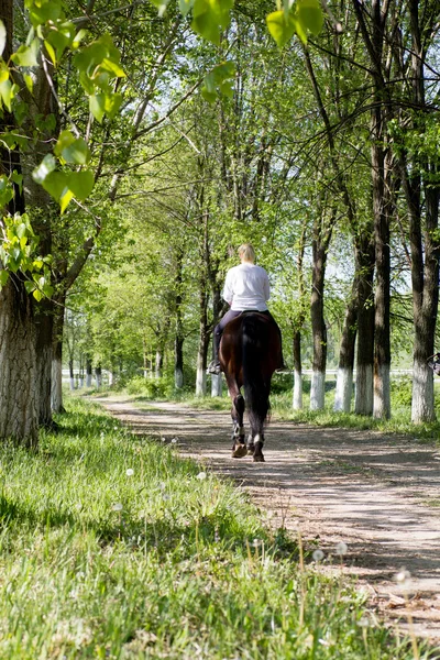 Woman horse riders in the forest on sunny day — Stock Photo, Image