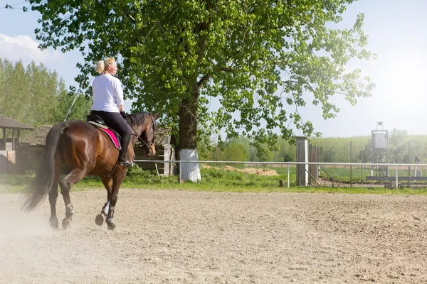 Hermosa mujer rubia montando un caballo — Foto de Stock