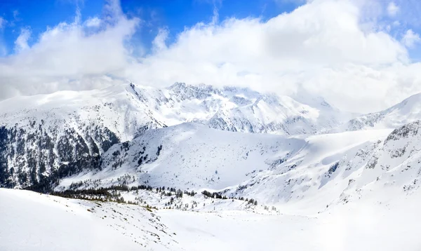 Winterwunderland in den Bergen — Stockfoto