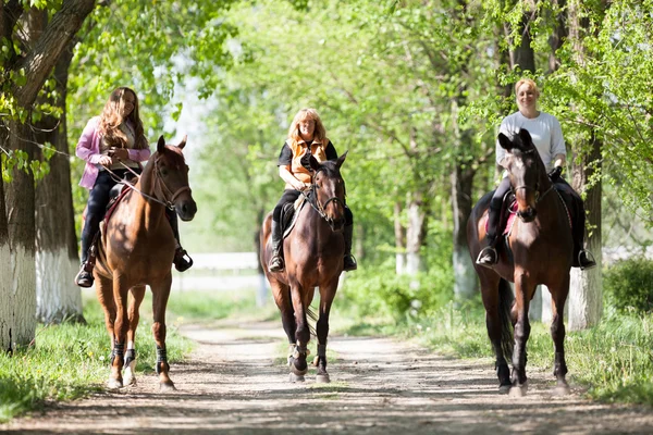 Grupo de jinetes en el bosque en un día soleado — Foto de Stock