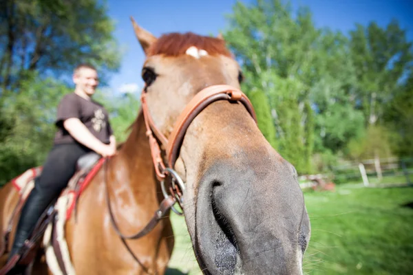 Happy teenager boy on the horse in the forest — Stock Photo, Image
