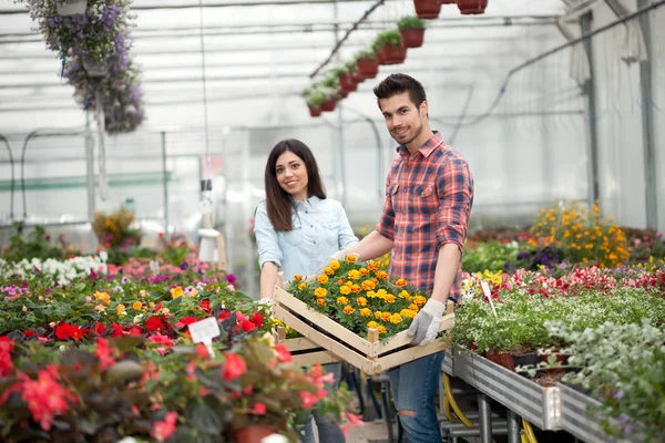 Young smiling people florists working in the garden — Stock Photo, Image