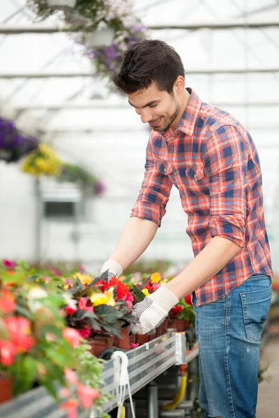 年轻的花店人在温室花朵与工作 — 图库照片