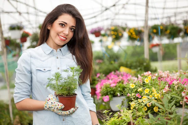 Young smiling woman florist working in the greenhouse — Stock Photo, Image