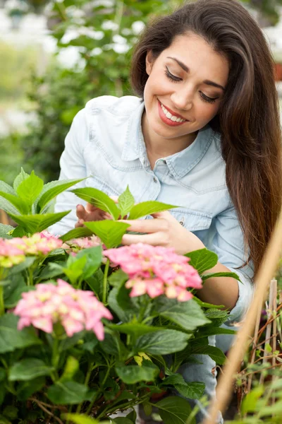 Young smiling woman florist working in the greenhouse — Stock Photo, Image