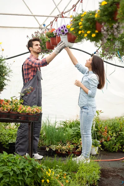 Young smiling florists man and woman working in the greenhouse — Stock Photo, Image