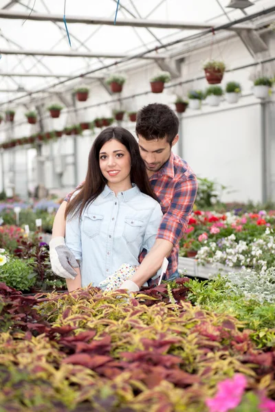 Happy couple in greenhouse with flowers — Stock Photo, Image