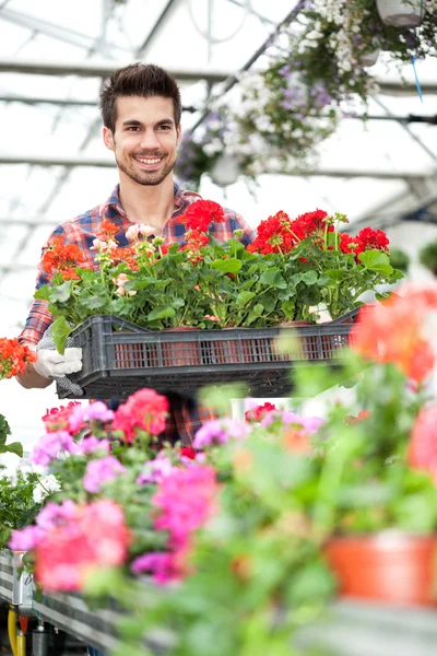 Young smiling florists working in the greenhouse — Stock Photo, Image